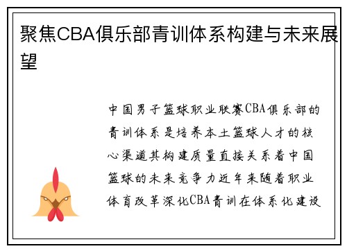 聚焦CBA俱乐部青训体系构建与未来展望
