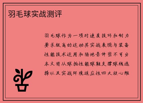羽毛球实战测评