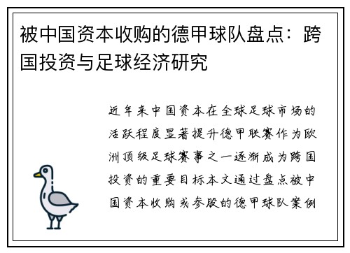 被中国资本收购的德甲球队盘点：跨国投资与足球经济研究